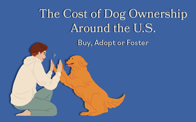 how much does buying a dog cost