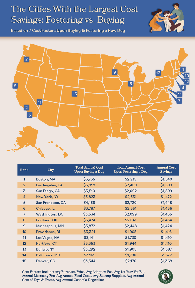 US map outlining cities with largest cost savings for fostering vs. buying