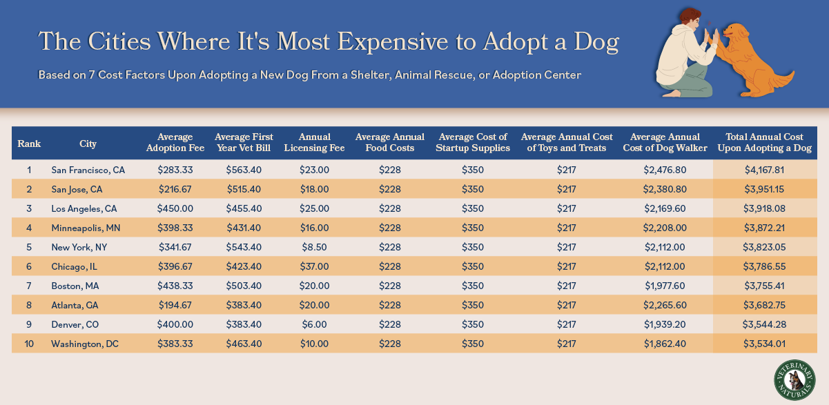 Average cost best sale of a dog