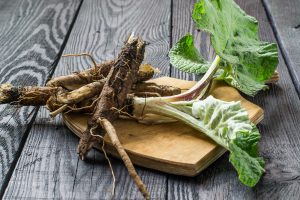 burdock root supplement