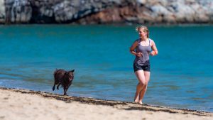 dog and woman on beach