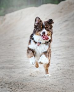 Aussie on beach