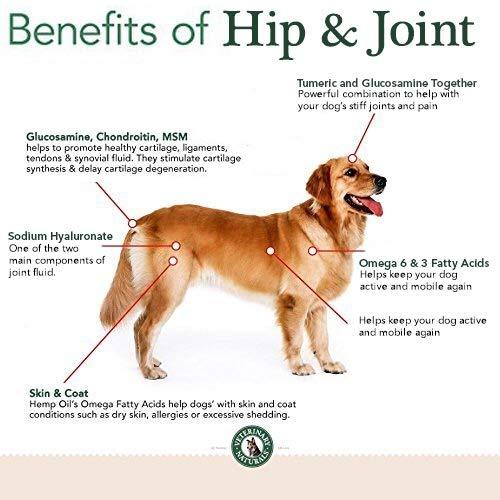 Hip & Joint - Vet Naturals vs Cosequin: Which Dog Joint Supplement Delivers More?