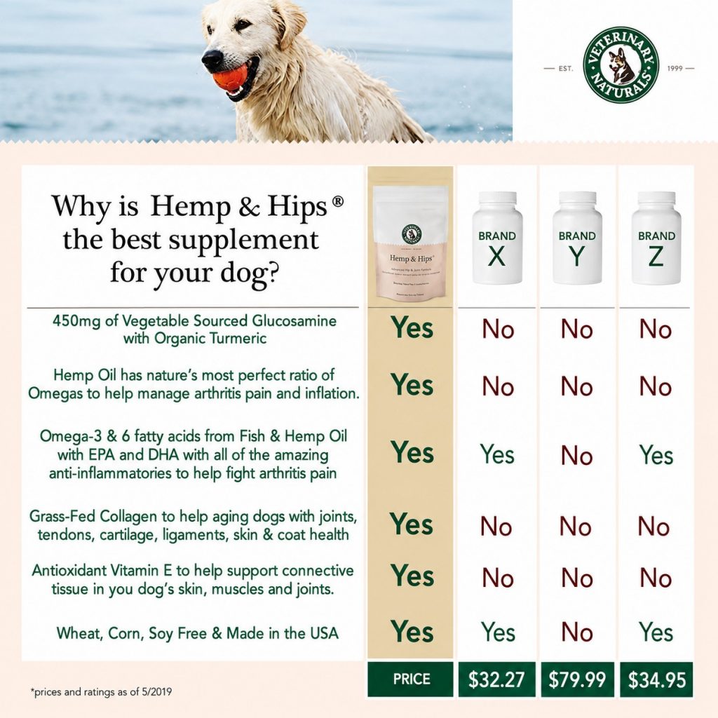 Why Hemp and Hips is best supplement a