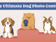 Dog Photo Contest - Win $1000 | Vet Naturals